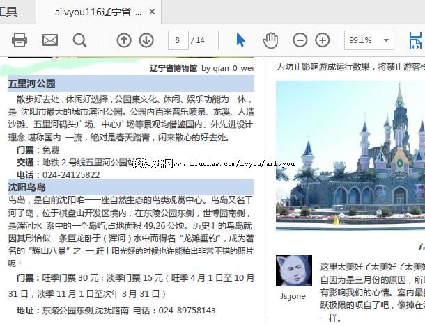 ailvyou116����ʡ-�������ι��� ��20Ԫ