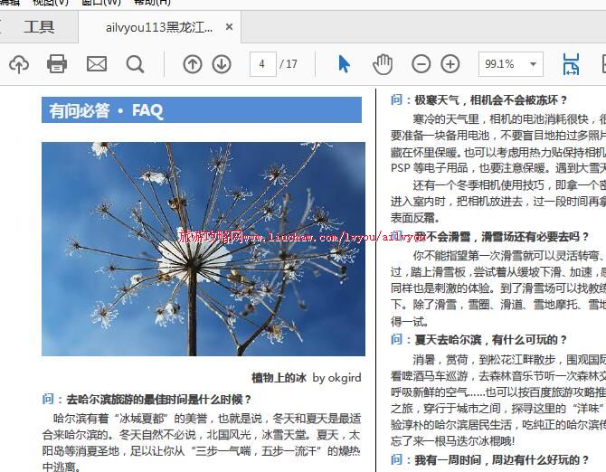 ailvyou113������ʡ-���������ι��� ��20Ԫ