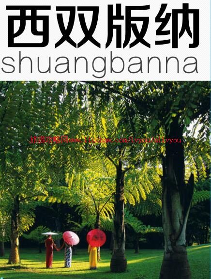 ailvyou108����ʡ-��˫�������ι��� ��20Ԫ