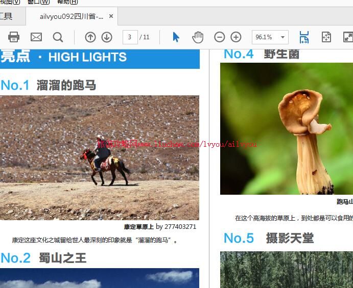 ailvyou092�Ĵ�ʡ-�������ι��� ��20Ԫ