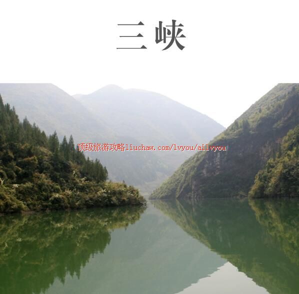 ailvyou469������Ͽ���ι��� ��20Ԫ