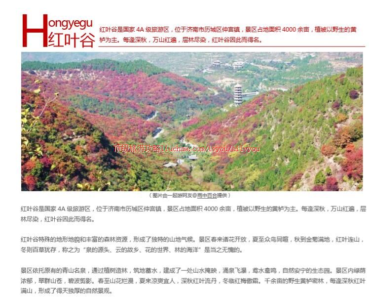 ailvyou201��Ҷ�����ι��� ��20Ԫ