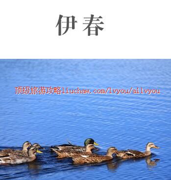 ailvyou458�������ι���    ��20Ԫ