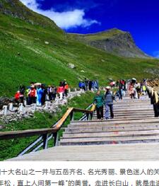 ailvyou454����ɽ���ι��� ��20Ԫ