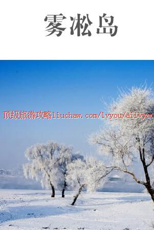 ailvyou453��ڡ�����ι��� ��20Ԫ