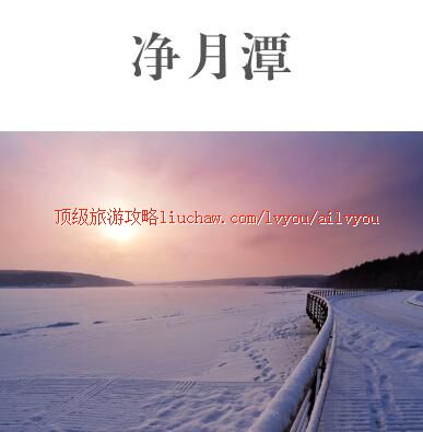 ailvyou452����̶���ι��� ��20Ԫ