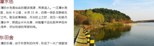 ailvyou452����̶���ι��� ��20Ԫ