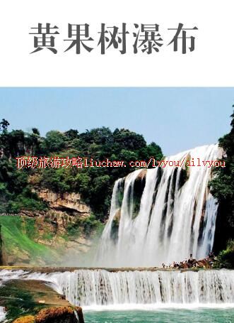 ailvyou439�ƹ������ι���  ��20Ԫ