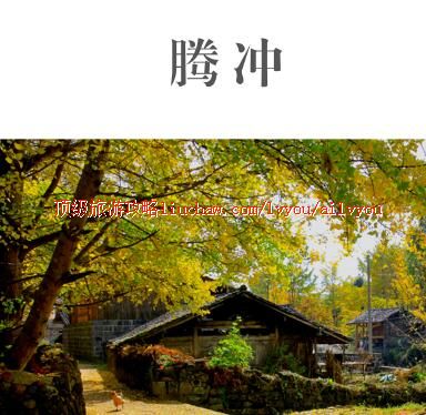 ailvyou431�ڳ����ι���              ��20Ԫ