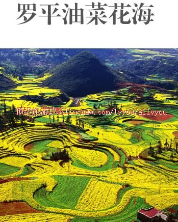 ailvyou429��ƽ�Ͳ˻������ι���  ��20Ԫ