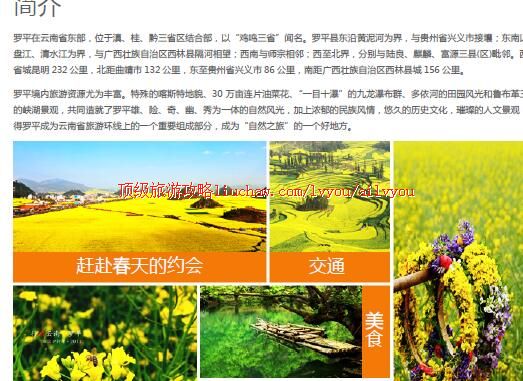 ailvyou429��ƽ�Ͳ˻������ι���  ��20Ԫ