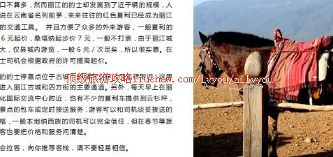 ailvyou427�������ι���      ��20Ԫ