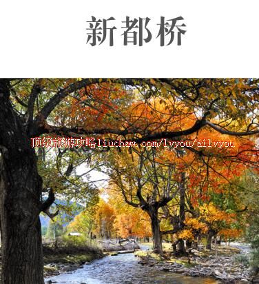 ailvyou421新都桥旅游攻略 售20元