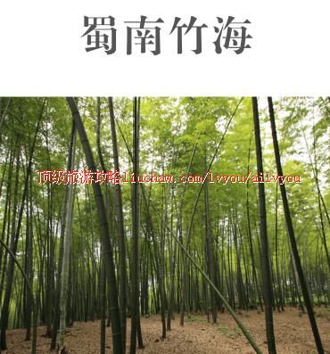 ailvyou418蜀南竹海旅游攻略 售20元