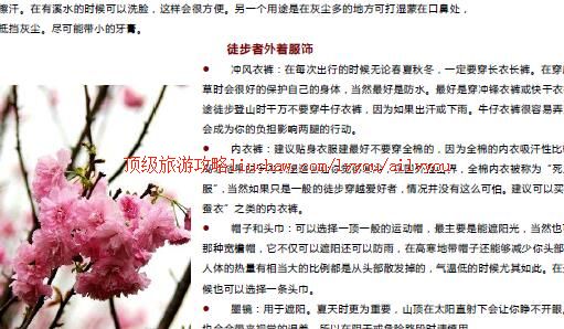 ailvyou415�������ι���        ��20Ԫ