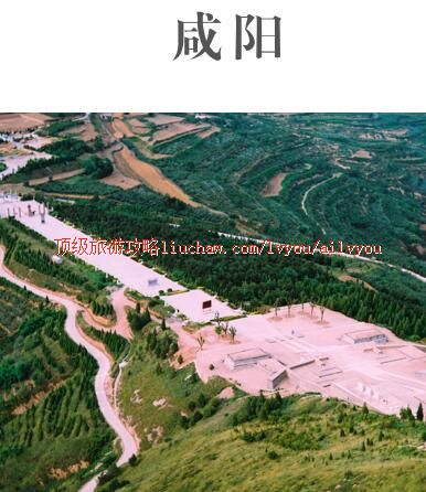 ailvyou401�������ι���               ��20Ԫ