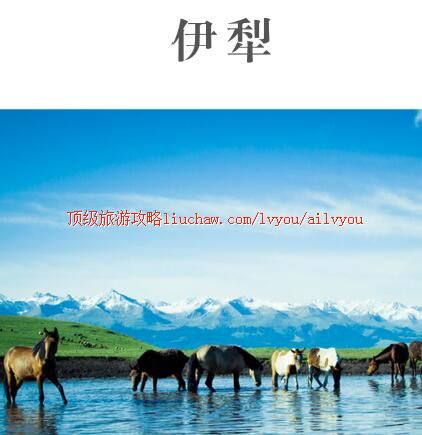 ailvyou390�������ι���            ��20Ԫ