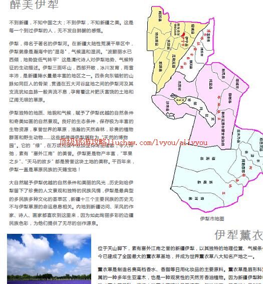 ailvyou390�������ι���            ��20Ԫ