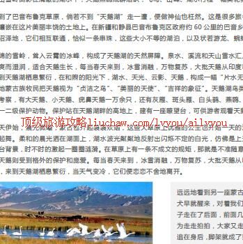 ailvyou385������³�����ι���   ��20Ԫ