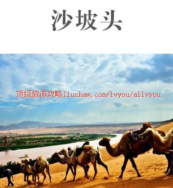 ailvyou383ɳ��ͷ����     ��20Ԫ