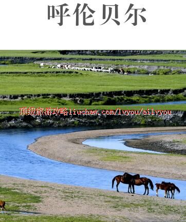 ailvyou382���ױ������ι���  ��20Ԫ