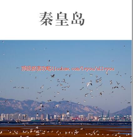 ailvyou373�ػʵ����ι���   ��20Ԫ