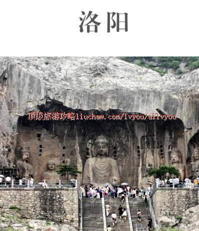 ailvyou353�������ι���           ��20Ԫ