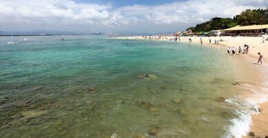 ailvyou339��֧�޵����ι���      ��20Ԫ