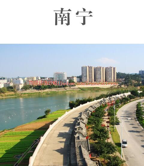 ailvyou333�������ι���  ��20Ԫ