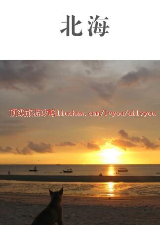 ailvyou331�������ι���  ��20Ԫ