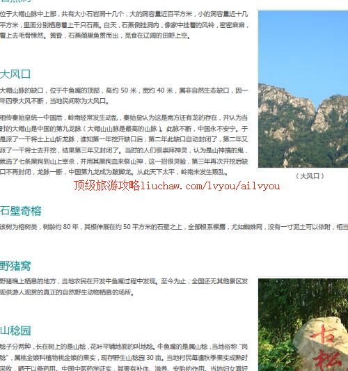 ailvyou324ţ�������ι���       ��20Ԫ