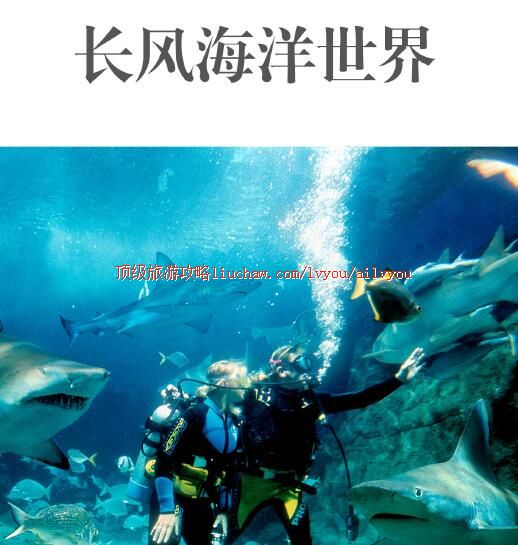 ailvyou299�Ϻ����纣���������ι���    ��20Ԫ