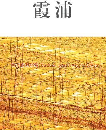 ailvyou294ϼ�������ι���     ��20Ԫ