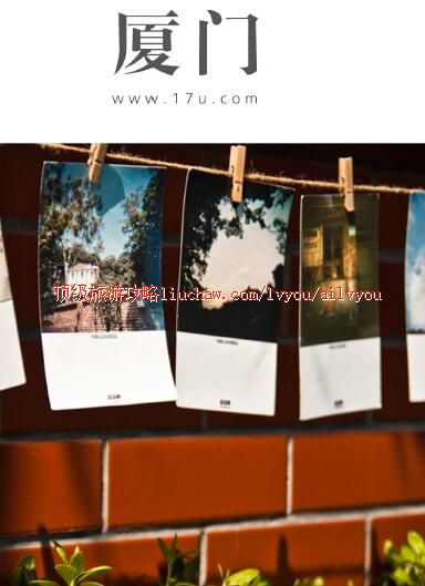 ailvyou291�������ι���        ��20Ԫ