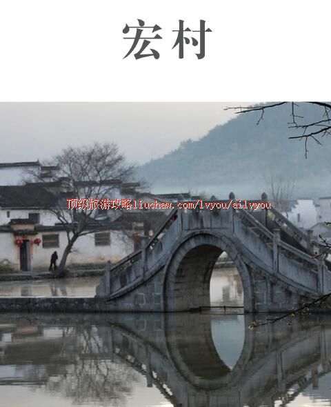 ailvyou255������ι���  ��20Ԫ