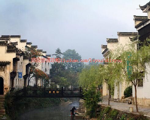 ailvyou252���ݹŴ�        ��20Ԫ