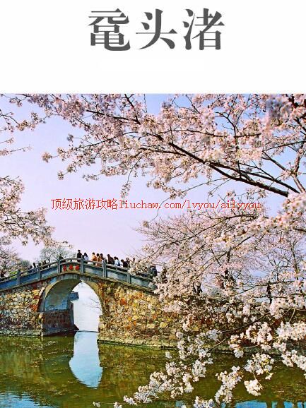 ailvyou249��ͷ����ι���      ��20Ԫ