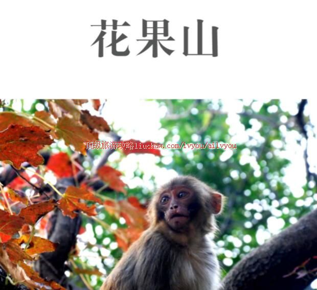 ailvyou225����ɽ���ι��� ��20Ԫ