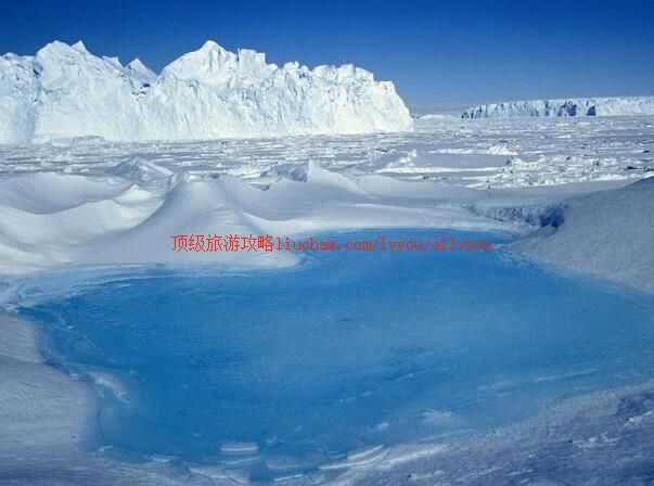 ailvyou213��ϼ�����ι���  ��20Ԫ