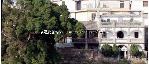 �Ϻ��ٽ�¥����ë�󶫾ɾ�