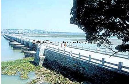 Ȫ��������