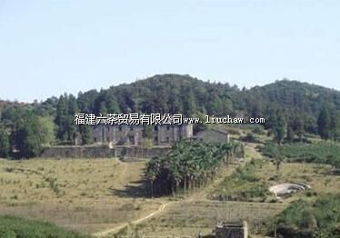 �й�����ʡί���غ�������ί����Ĺ���ݵ���ַ