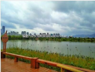 长乐闽江河口国家湿地公园