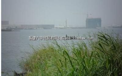 ����ɰˮ��