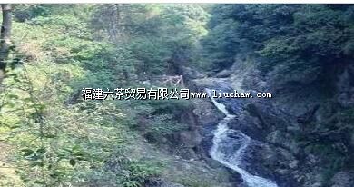 «��̶ɭ�ֹ�԰