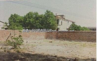 �񸣵��½�ͨվ��ַ