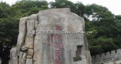 ���춴����