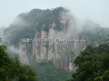 ��ɽ��Ȼ������