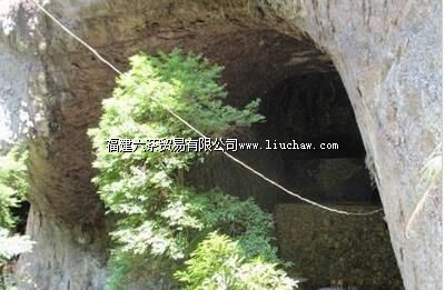 青云山革命据点遗址
