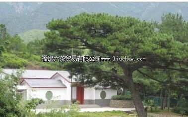 ����ʡί��ַ�����